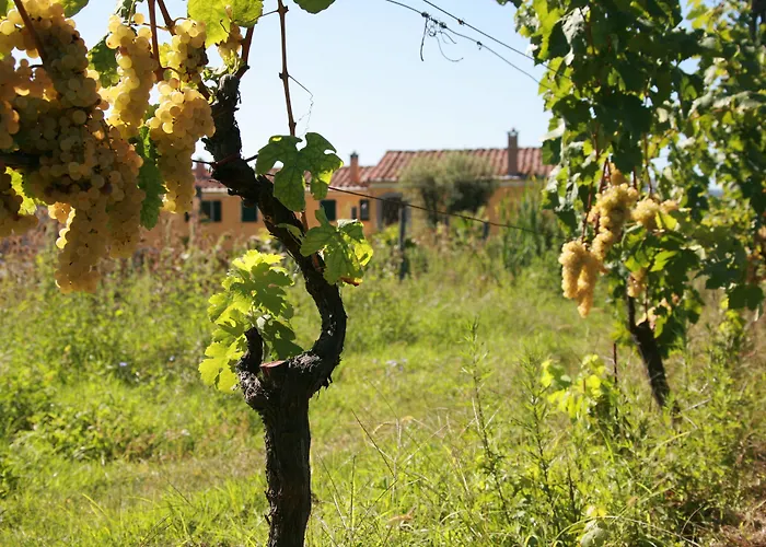 La Ghiaia Casa rural *