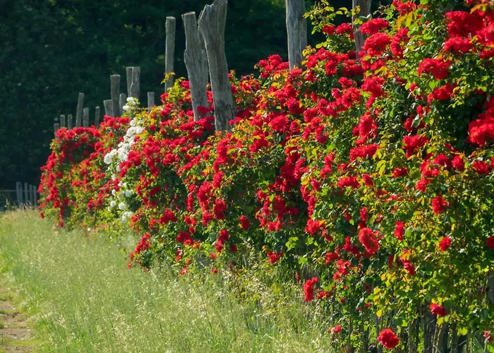 La Ghiaia Casa rural *