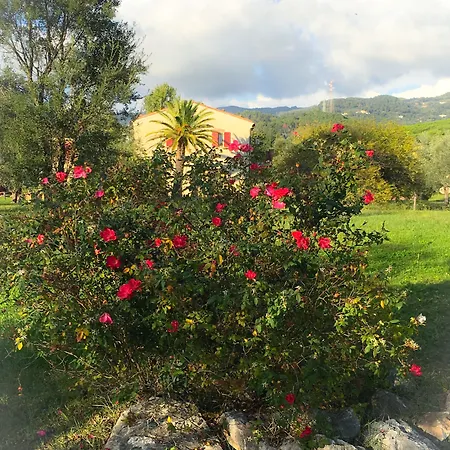 La Ghiaia * Sarzana