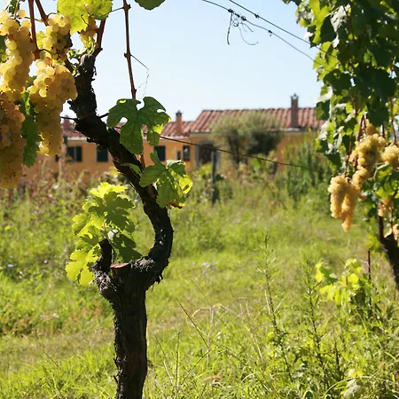 La Ghiaia Séjour à la campagne *